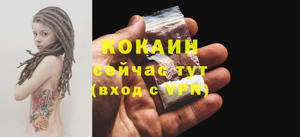 2c-b Бородино