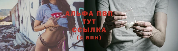 2c-b Бородино