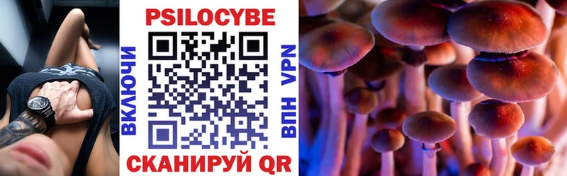 mega онион купить наркотик Вязники Галлюциногенные грибы GOLDEN TEACHER